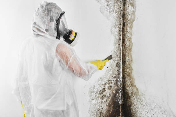 Crawl Space Mold Removal in Thermalito, CA