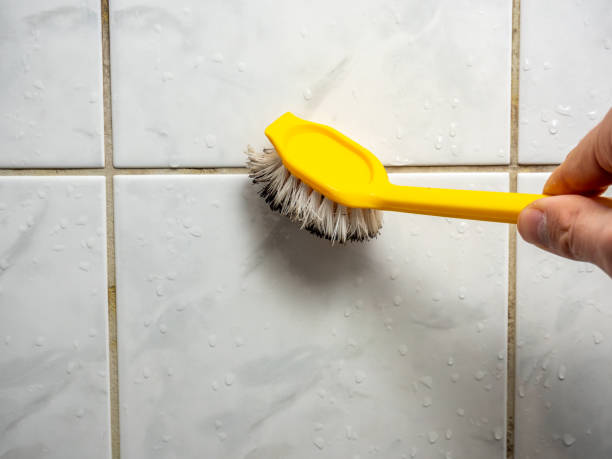 Best Home Mold Removal  in Thermalito, CA
