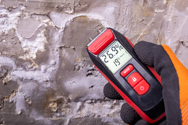Best Toxic Mold Removal  in Thermalito, CA