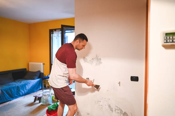Best Toxic Mold Removal  in Thermalito, CA